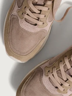 New JACKSON Damen City