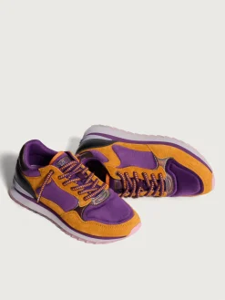 New MODENA Damen City